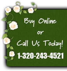 Buy Online or Call